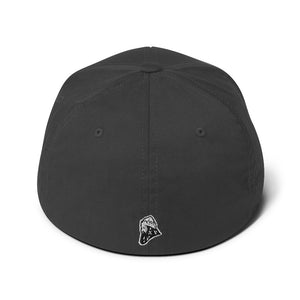 Ariza 3D puff fitted hat - multiple colors